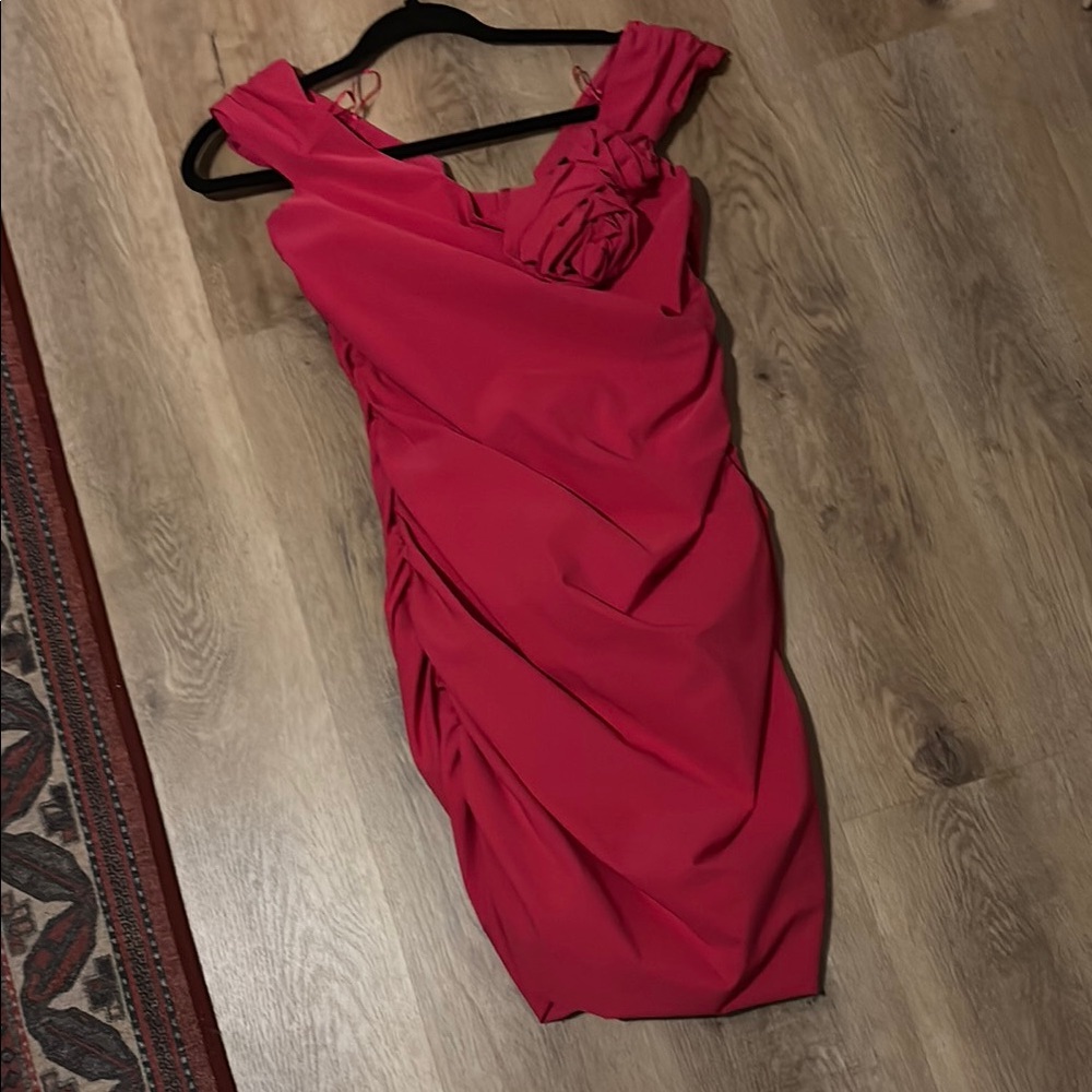 Zara L Fuchsia Women's Dress
